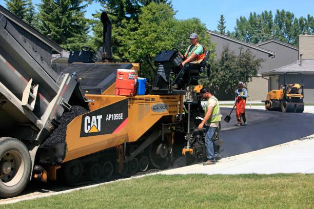 Best Driveway Paver Repairs and Restoration in Fort Llins, CO